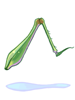 Grasshopper's Leg